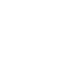 MIS Languages Spoken Logo
