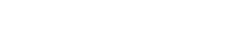 MIS - Mouannes INTL Specialized Consultants