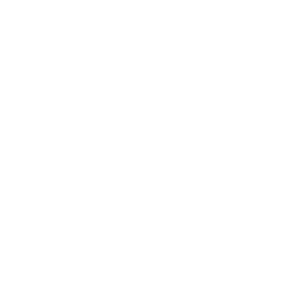 MIS Approach Logo