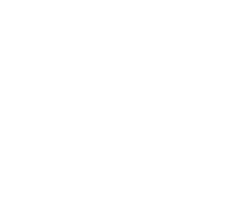 MIS Services - Alternative Dispute Resolution
