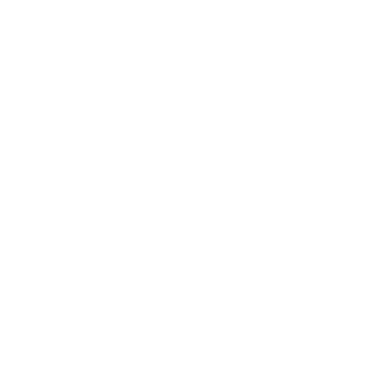 MIS Services - Company Formation