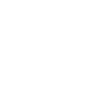 MIS Services - Dispute Resolution