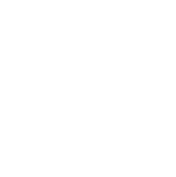 MIS Services - Intellectual Property