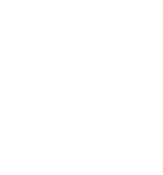 MIS Services - Real Estate